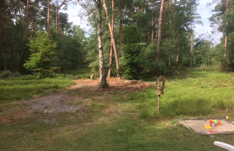 Bos-zichtlijnen.jpeg